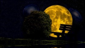 Moon_Lit_Night