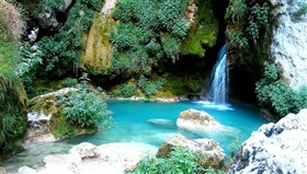 Small_Aqua_Pond