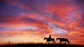 Cowboy Sunset