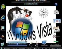 Vista Cat