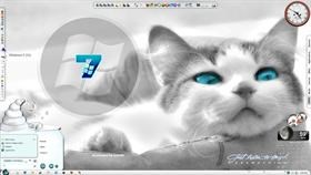 Blue Eyed 7