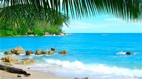 Tropical Island Beach