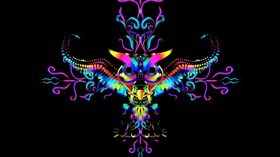 Colorful Owl