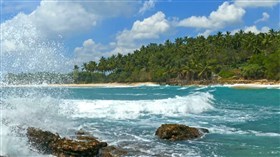 Tropical Waves twb