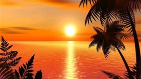 Sunset Orange
