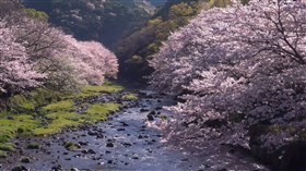 Spring River
