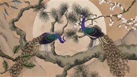 Peacock Art 2