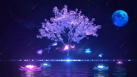 Dream Pond