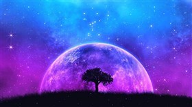 Moon Tree