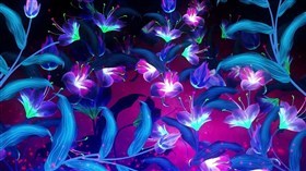 Wild Flowers
