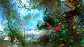 4K Peacock Swamp