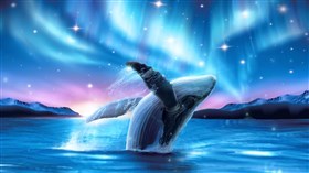 4K Whale of a Time