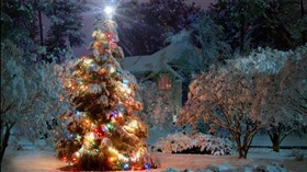 4K Christmas Winter