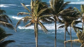Windy Ocean