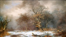 Forest Winter Fog