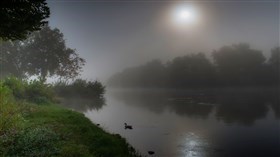 Foggy River