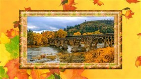 Autumn P.I.P