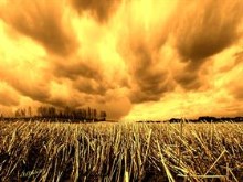 Sunset Fields V2