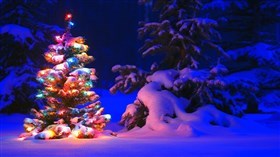 Christmas Tree 