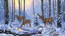 Winter Deer