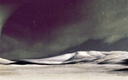 The night the stars fell