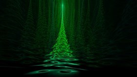 A light in the forest
