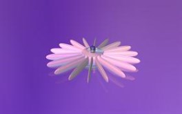 My Pink Fan
