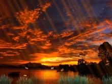 Sunset Butterflys