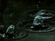 rain drops