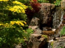my waterfall garden