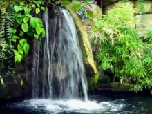 garden pond waterfall
