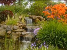 garden of eden