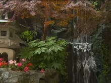 japanese garden fall