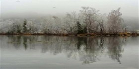 cold morning
