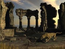 The Leopard and the Snake