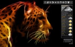 Lions Pride