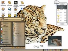 JAG AND PUMA