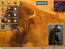 buffalo 3
