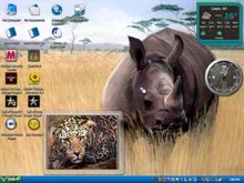 wild2
