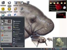 sea cow