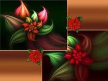 Christmas Poinsettias Wall Pack