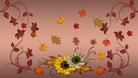 ThanksgivingMedley