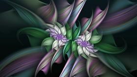 Lila Blume