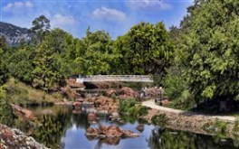 Spring Bridge