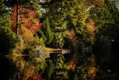 Fall Reflections